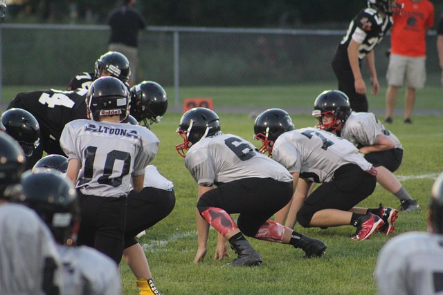 我們期待看 我們期待看