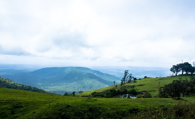 然爆发的机 然爆发的机