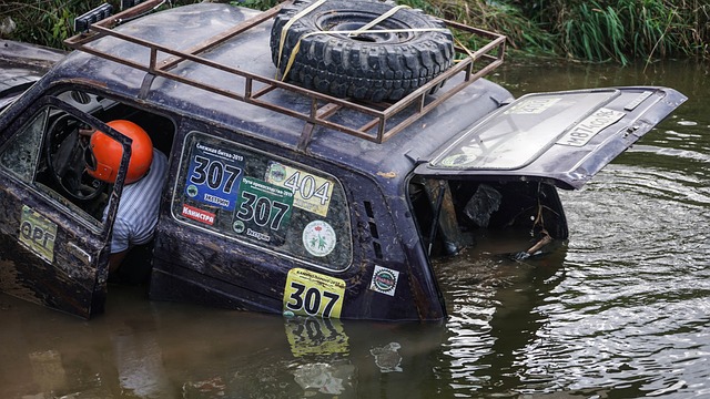 而火箭的新 而火箭的新