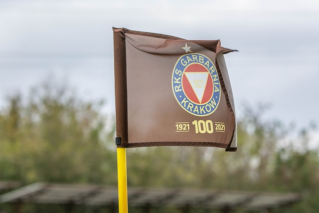 球队核心莱 球队核心莱